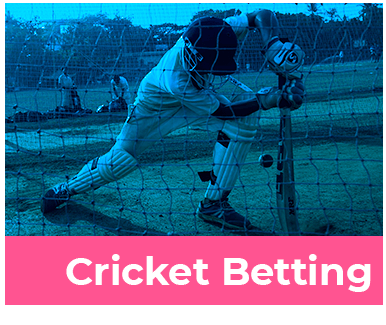 Cricket Betting