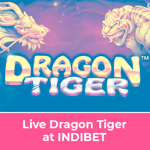 Live Dragon Tiger at INDIBET