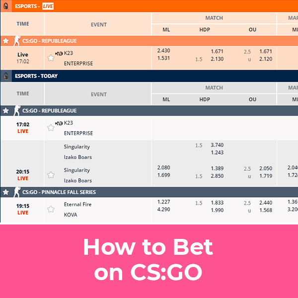 How to Bet on CS GO at INDIBET