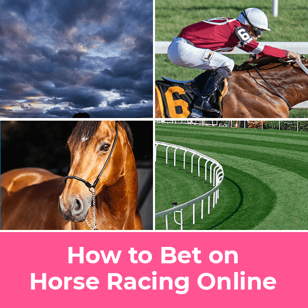 How to bet on Horse Racing and Win