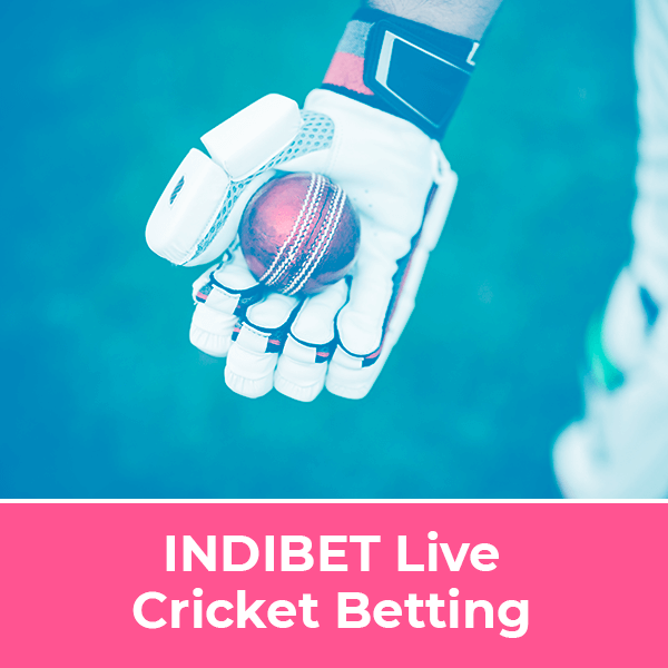 INDIBET Live Cricket Betting