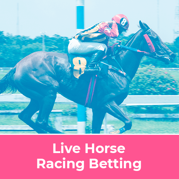 Live Horse Racing Betting