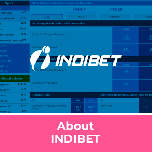 The Secret Of indibet online