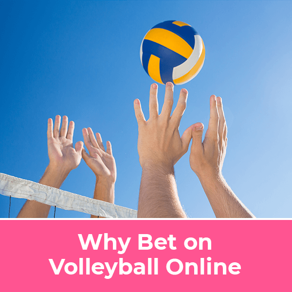 Why bet on volleyball online